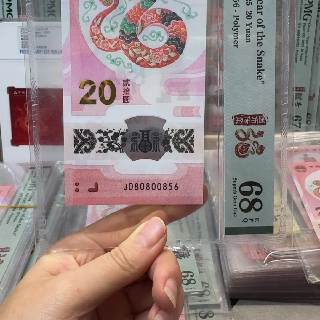 塑料蛇钞J080800856