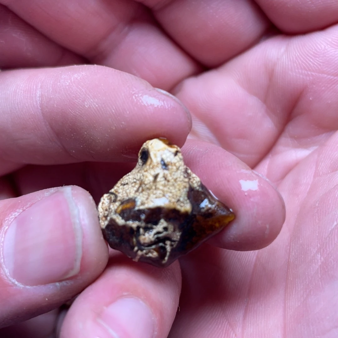 琥珀裸石未镶嵌琥珀琥珀蜜蜡原石直发