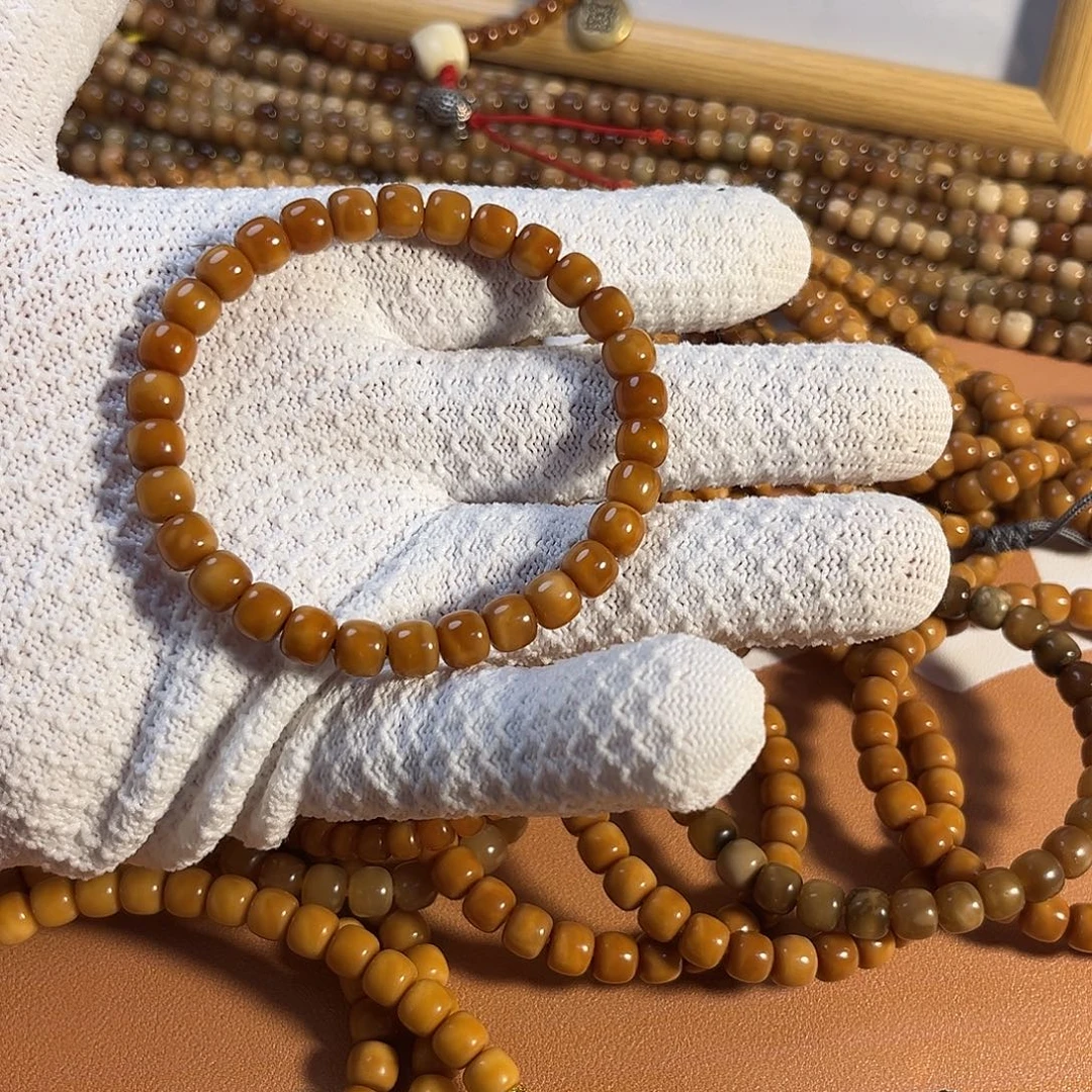 吊坠龙脊菩提¥¥¥¥¥¥