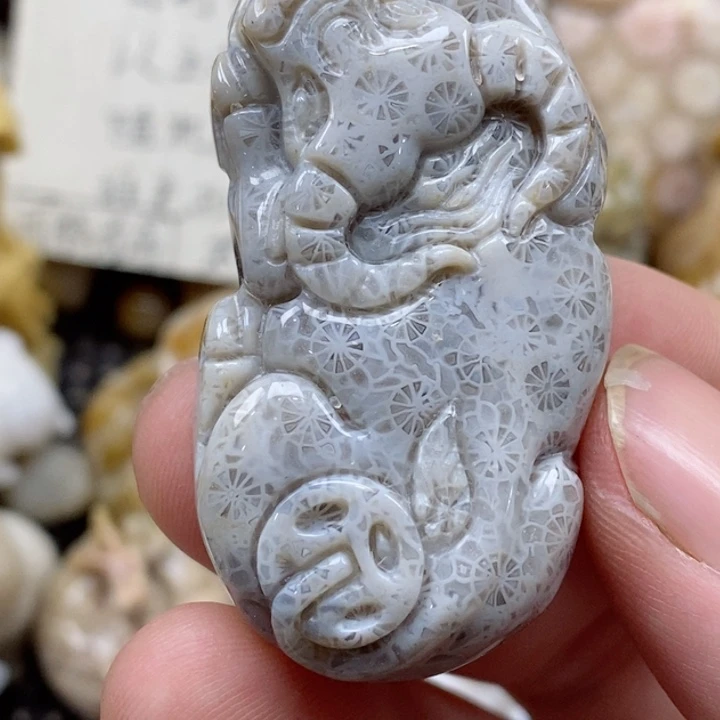 颈饰未镶嵌硅化珊瑚（珊瑚玉）