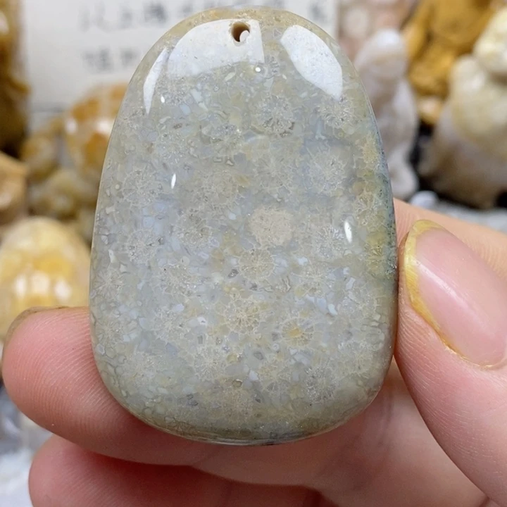 颈饰未镶嵌硅化珊瑚（珊瑚玉）小