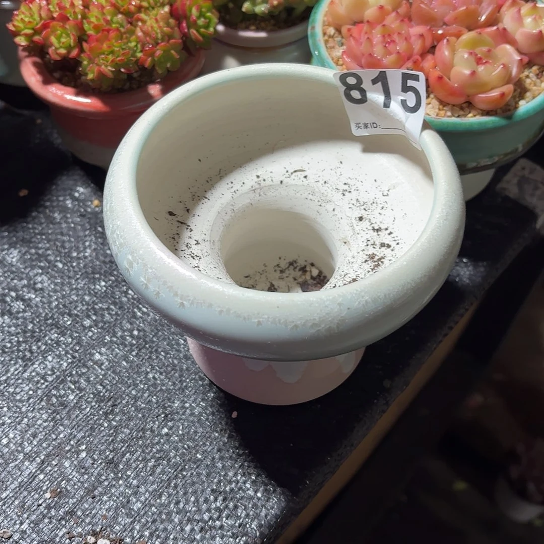 安****景德镇多肉花盆815