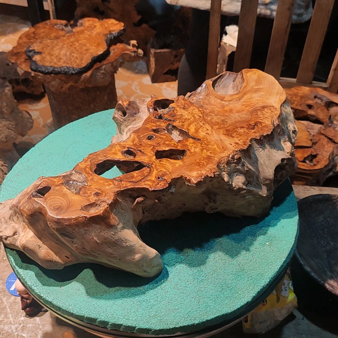 木朴**活香杉木枯木四川省