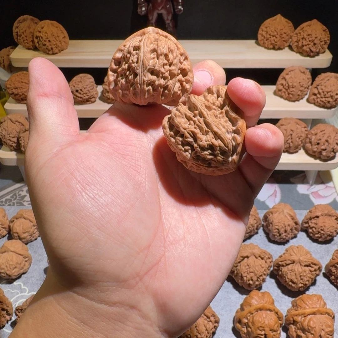 大叶紫檀（黑酸枝木类）