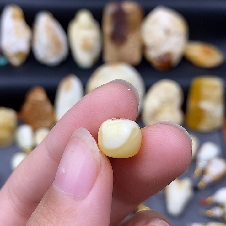琥珀未镶嵌裸石10老邢b9