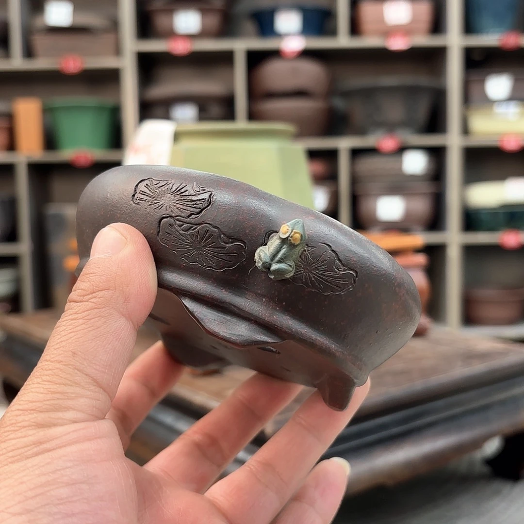 紫砂花盆紫砂的颜色很好看