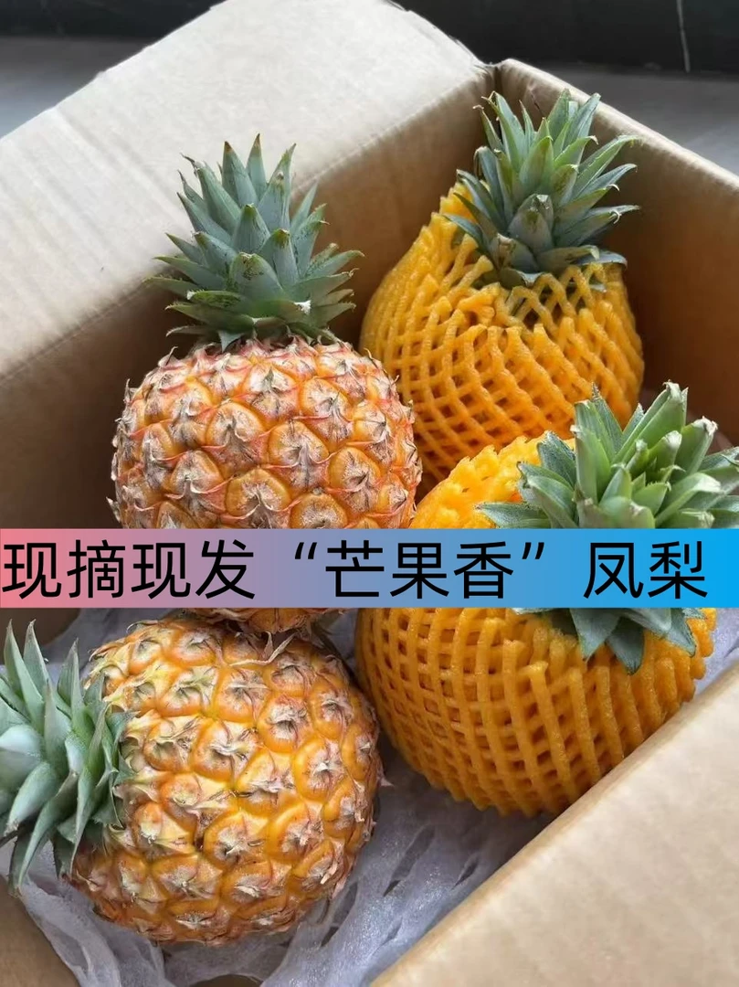【纯甜】海南当季芒果凤梨新鲜水果台农23号金芒凤梨当季现摘包邮