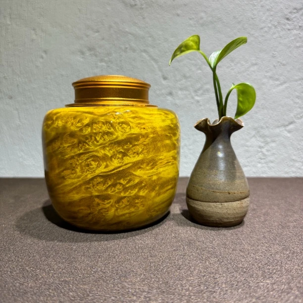 瓷多功能黄金樟实木茶叶罐（可上直播间挑现货，自动拍下随机发哦）