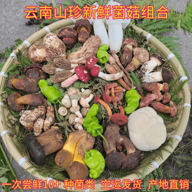 边境山货土特产~代拍链接