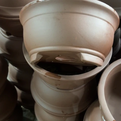 100-6。  24.5-12。