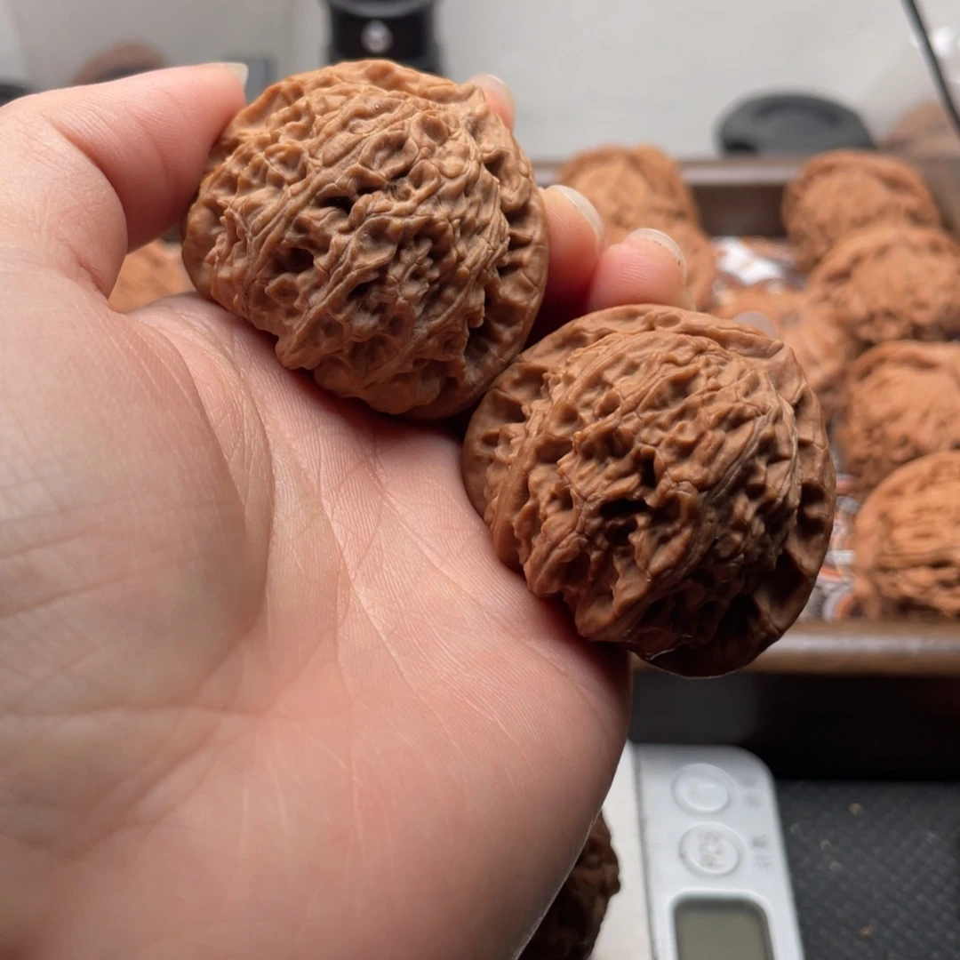 ****1核桃手串/手链白狮子43尺全品