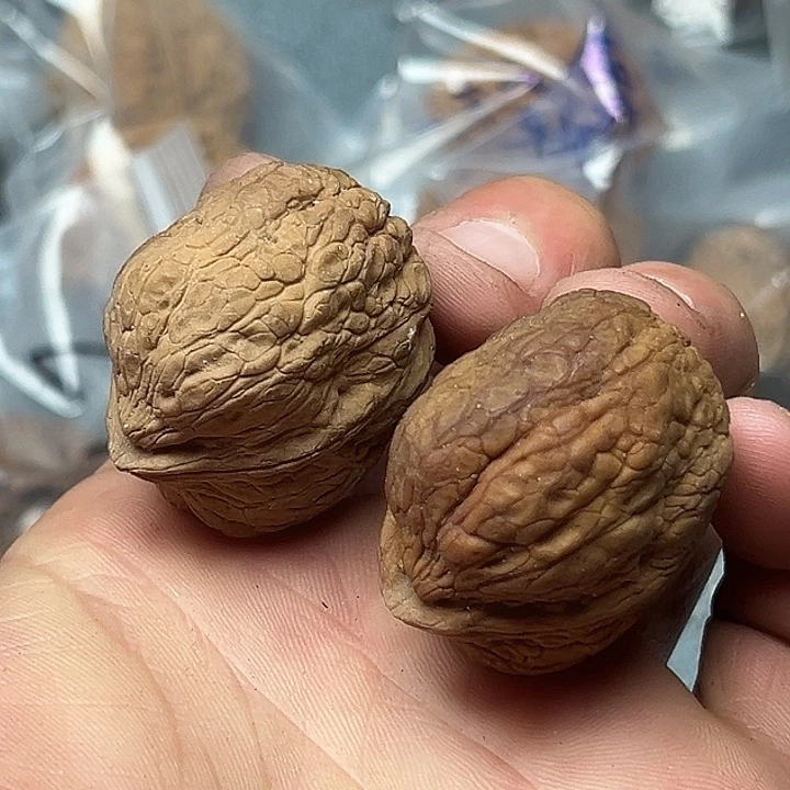 核桃55号箭毒蛙37尺