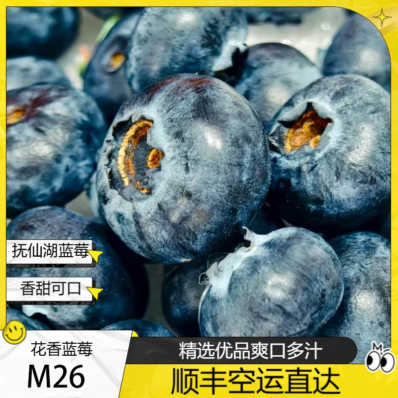 M25 云南花香蓝莓  霸王莓 18-19mm 特大果 脆甜   空运