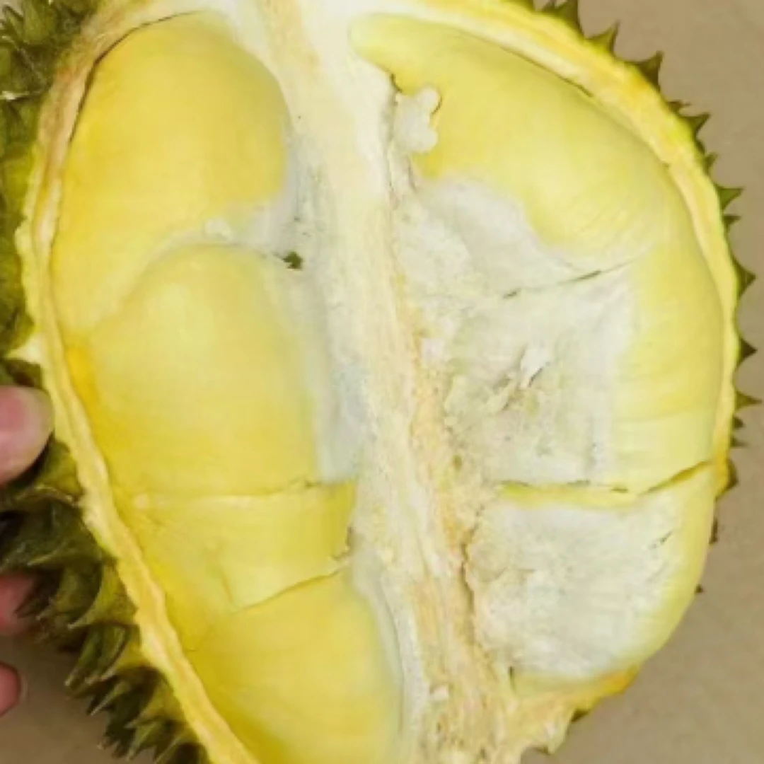 新鲜泰国金枕榴莲树熟纯肉一斤【核小】榴莲同城配金枕泰国