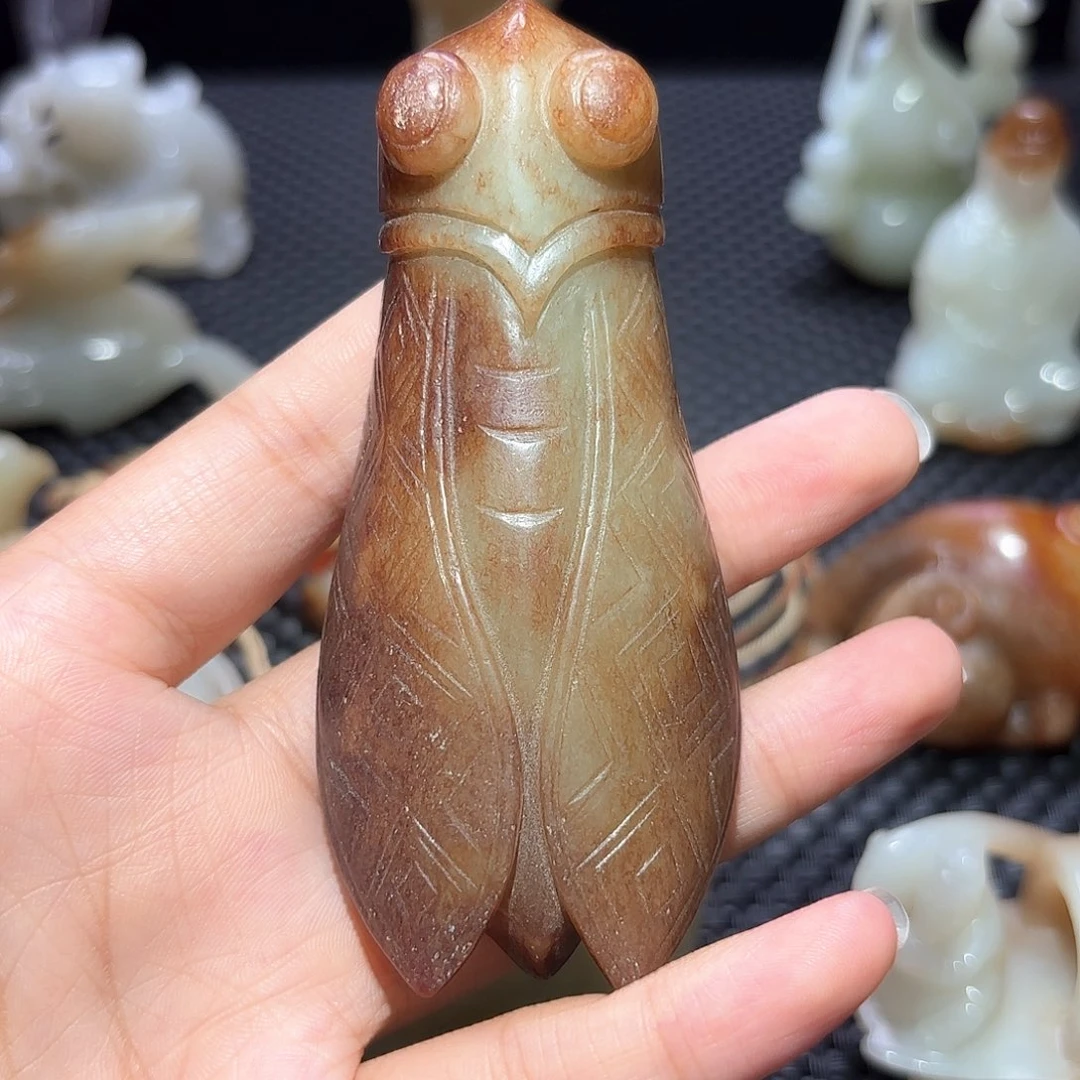 缸一物一图 所见所得