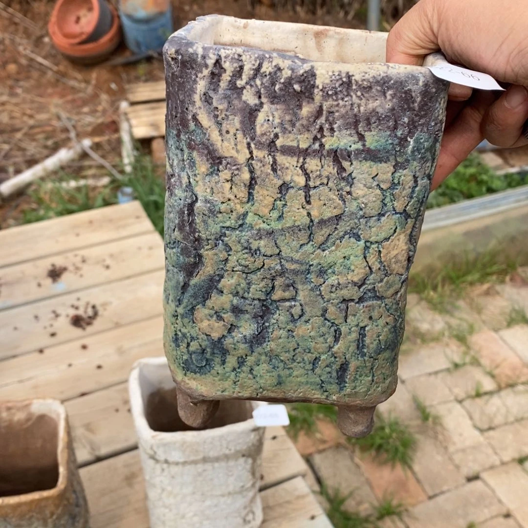 红陶近**赤66号多肉盆一个呀