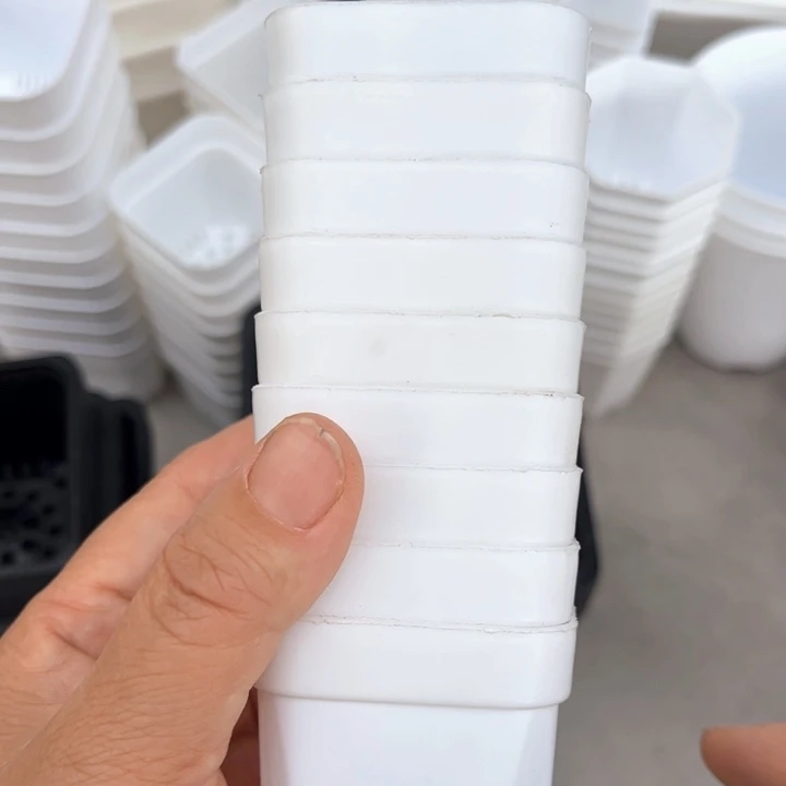 白方口5高5一组100