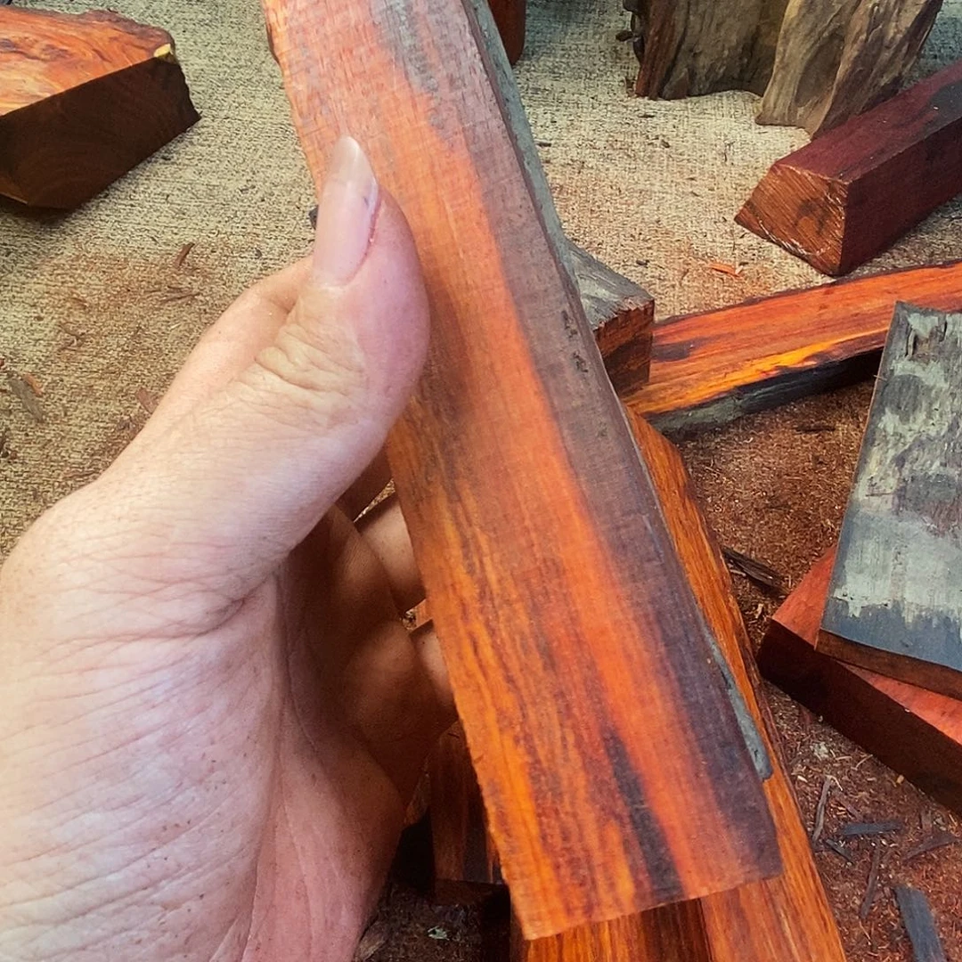 景***春1234印度小叶紫檀边角角