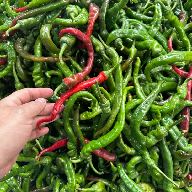 湖南邵阳隆回本地农家辣椒辣椒辣椒中辣偏上皮薄皮软香辣型
