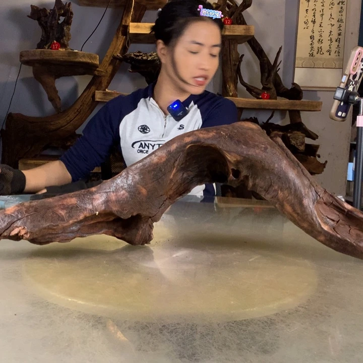 ****.天然的云南紫柚木会黄水