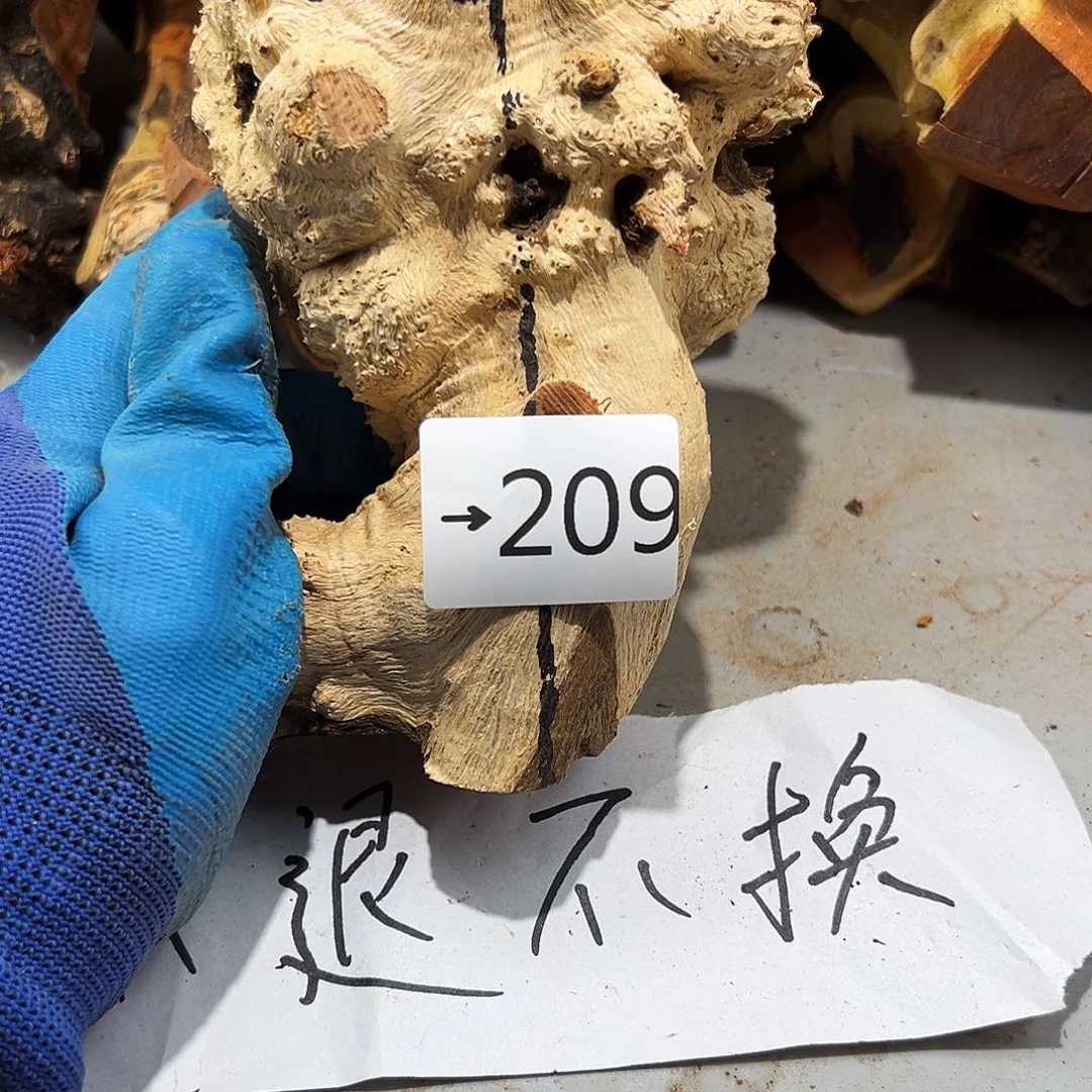 香榧木人****球不提不换