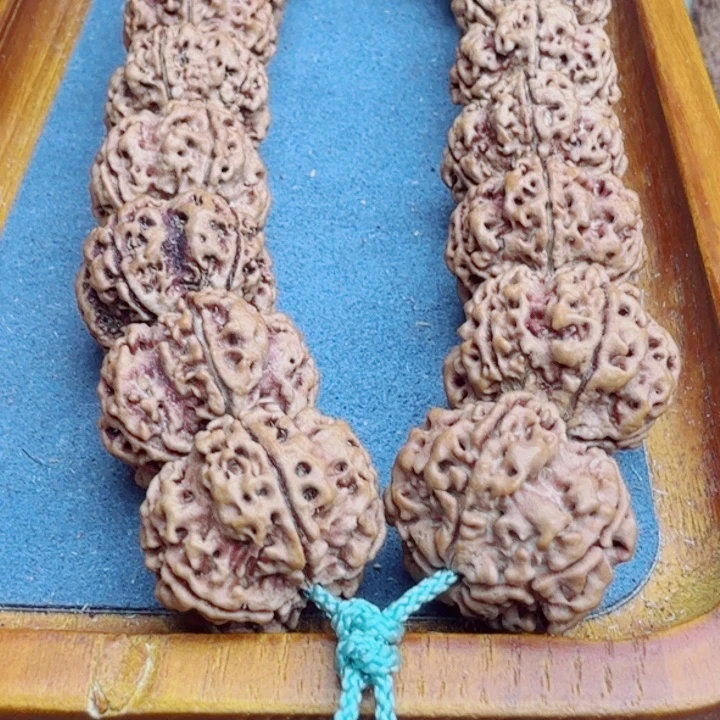 金刚菩提手串五星梅花自然桩超头订制