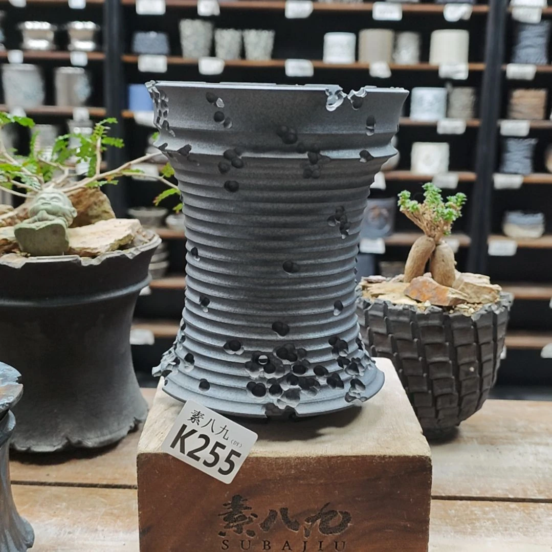 陶瓷素八九陶瓷内口13高18