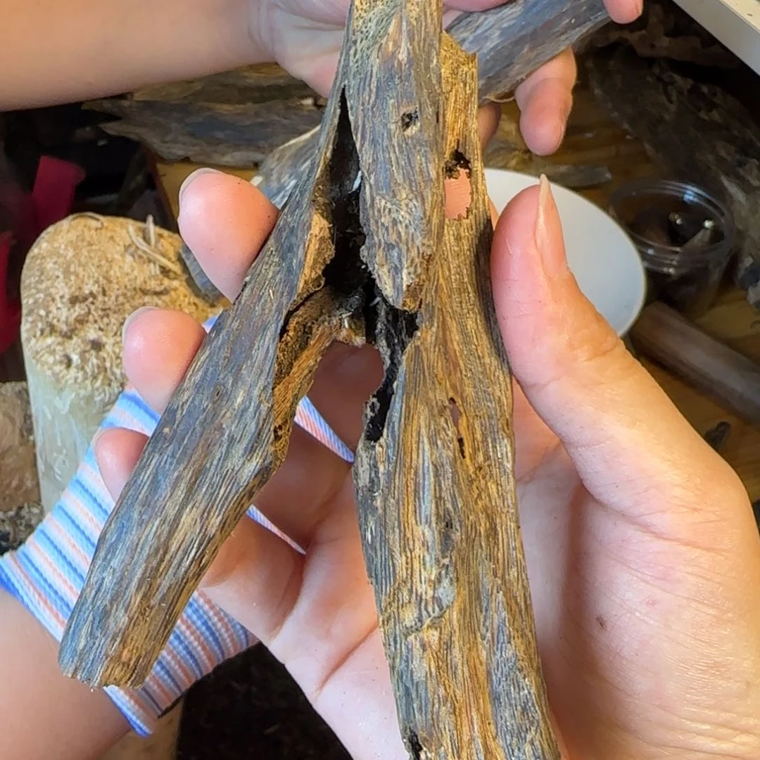 沉香碎屑沉香奇楠沉香37克