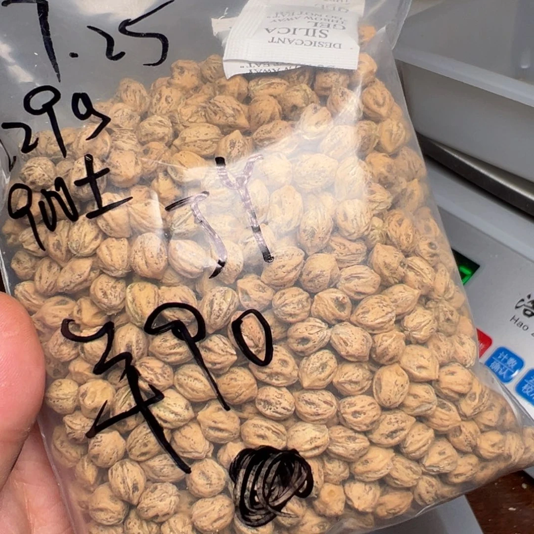 柏香籽/百香籽吊坠J****n