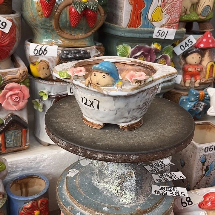 粗陶材质多肉花盆