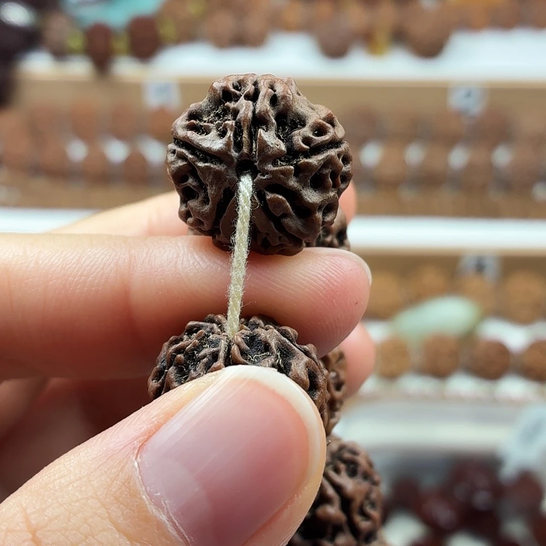 手串金刚菩提精品梅花双龙