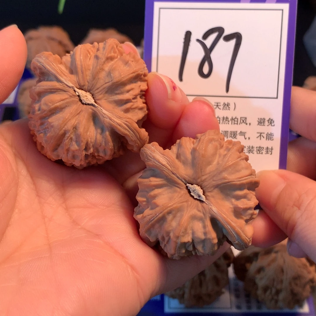 把件文玩核桃187白狮子4.3