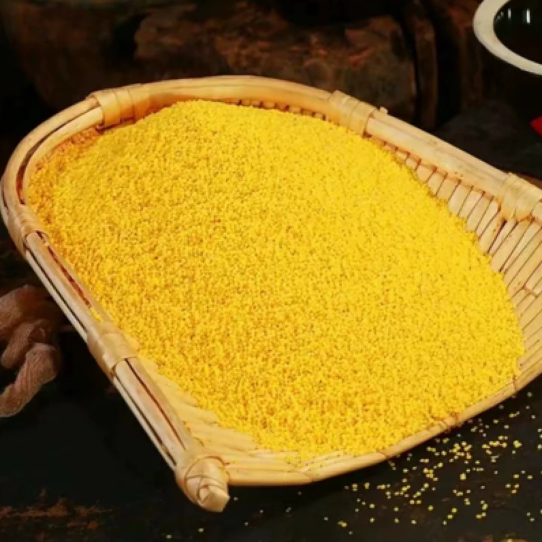 赤峰大金苗黄小米