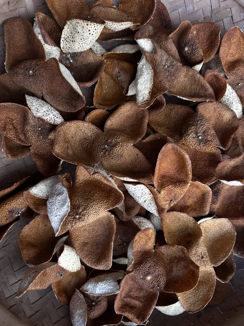 35年老树、浦北陈皮2024年冬后大红皮（纯手工制作生晒）