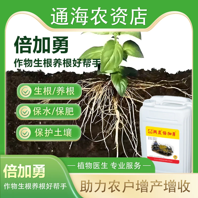 生根壮苗长势好（倍加勇套餐）好评高达90%