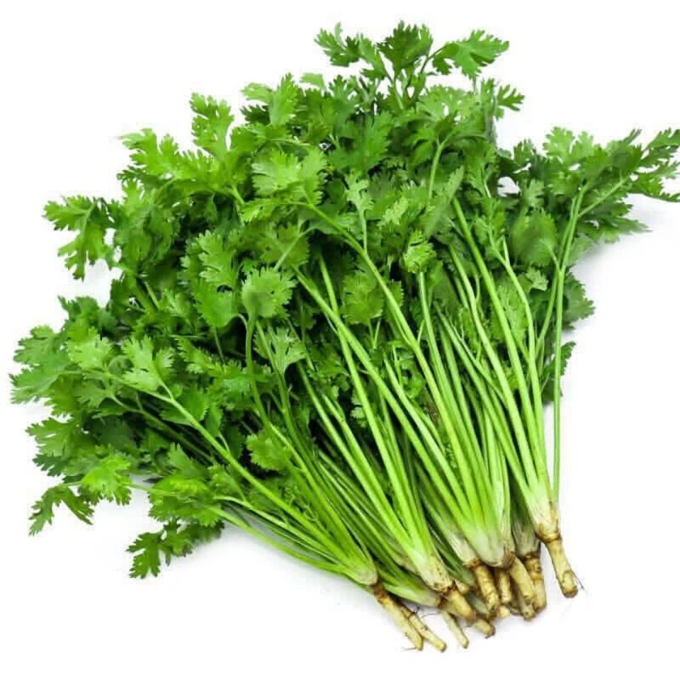 珍口福露天新鲜香菜批发新鲜芫荽当季农家新鲜蔬菜1/2/3/4斤