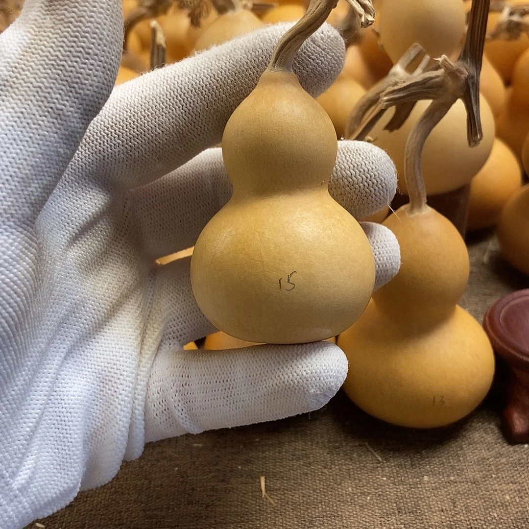 文玩葫芦 完美主义者 慎拍15