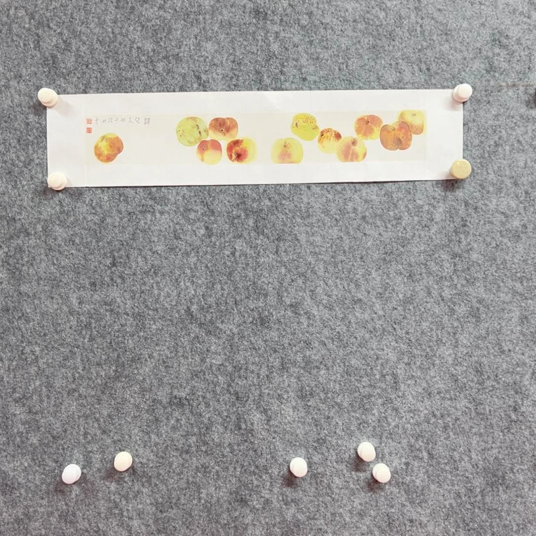 国画杨娜国画精品