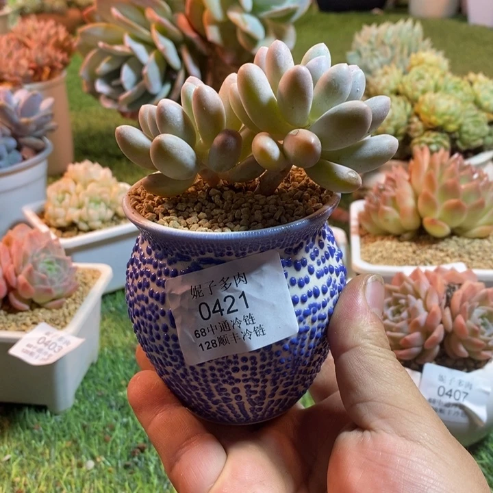远****0421啊啊啊啊啊啊啊啊啊