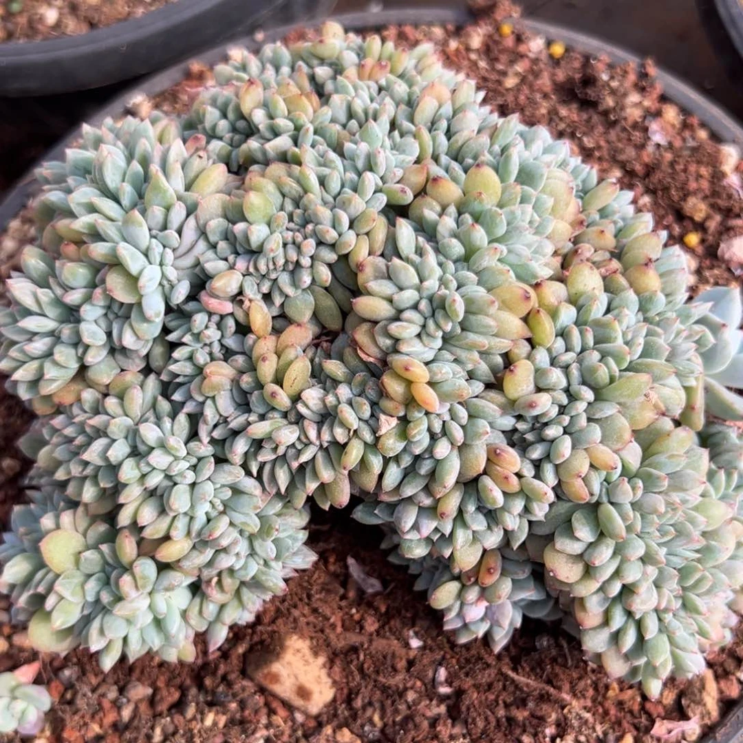 朵**呀11111111111111-1