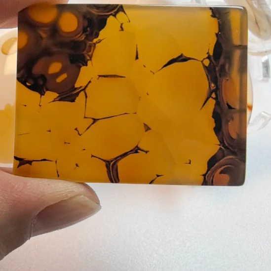 非金属时尚配饰可观赏配带