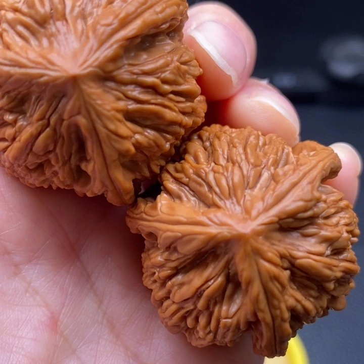 琦***敌木质类虎头三棱38