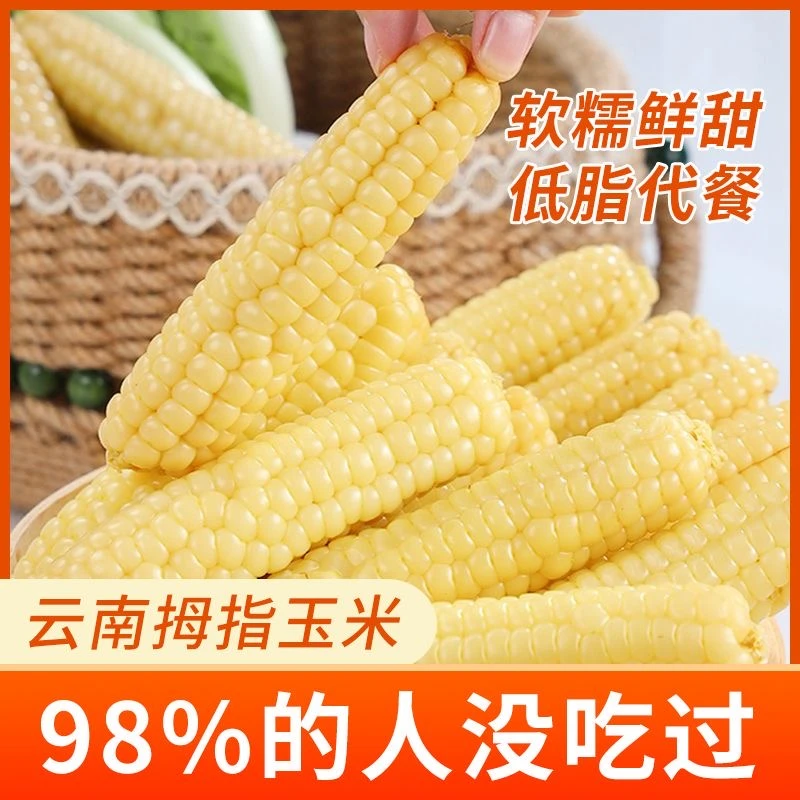 云南版纳拇指玉米香糯小玉米傣家甜黏手指玉米软糯香甜【汤家限定】