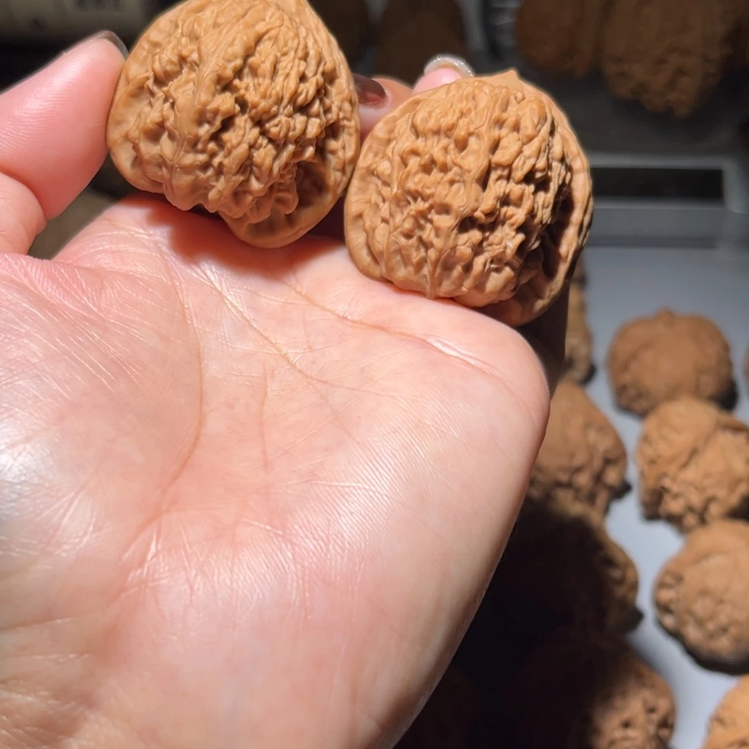 木质类蚂蚁钩39全品