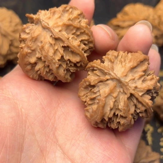 文玩核桃把件秦岭核桃12