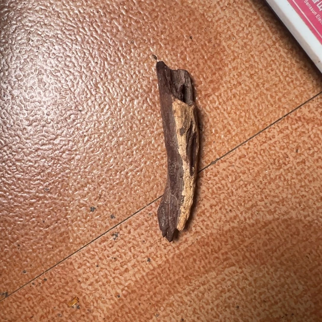 阳***3手串/手链黄花梨/降香黄檀