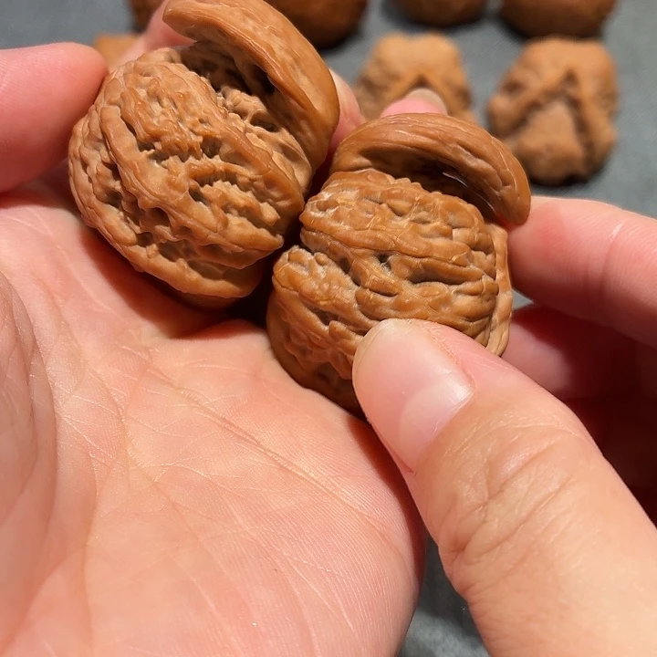 舍**得文玩核桃，异形犀牛角，尺寸40+
