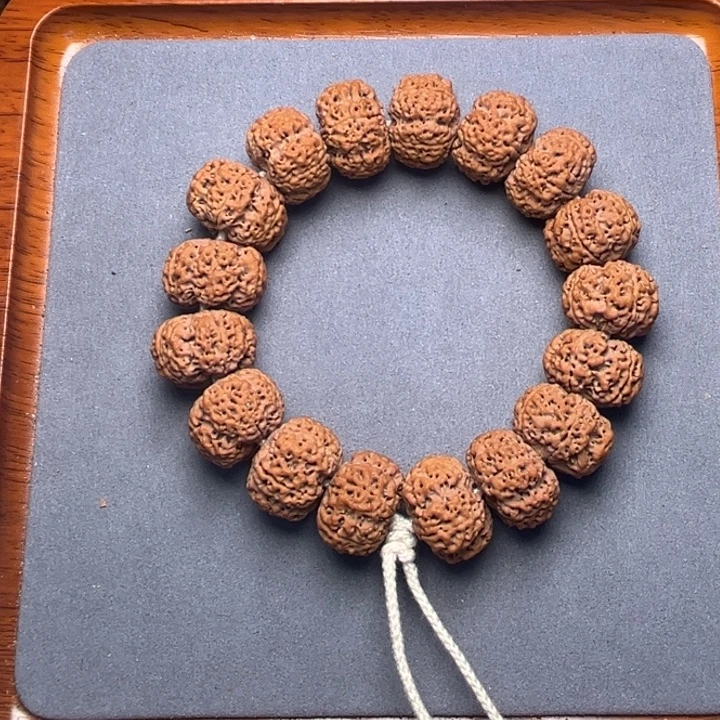 31号金刚菩提蜂王夹板22