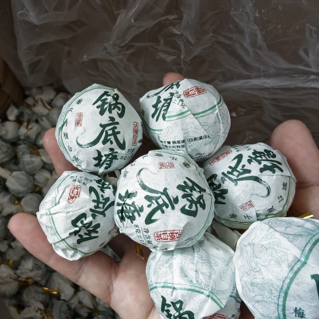 2023年(核心产区)锅底塘古树头春纯手工白茶龙珠(618福利优惠款)