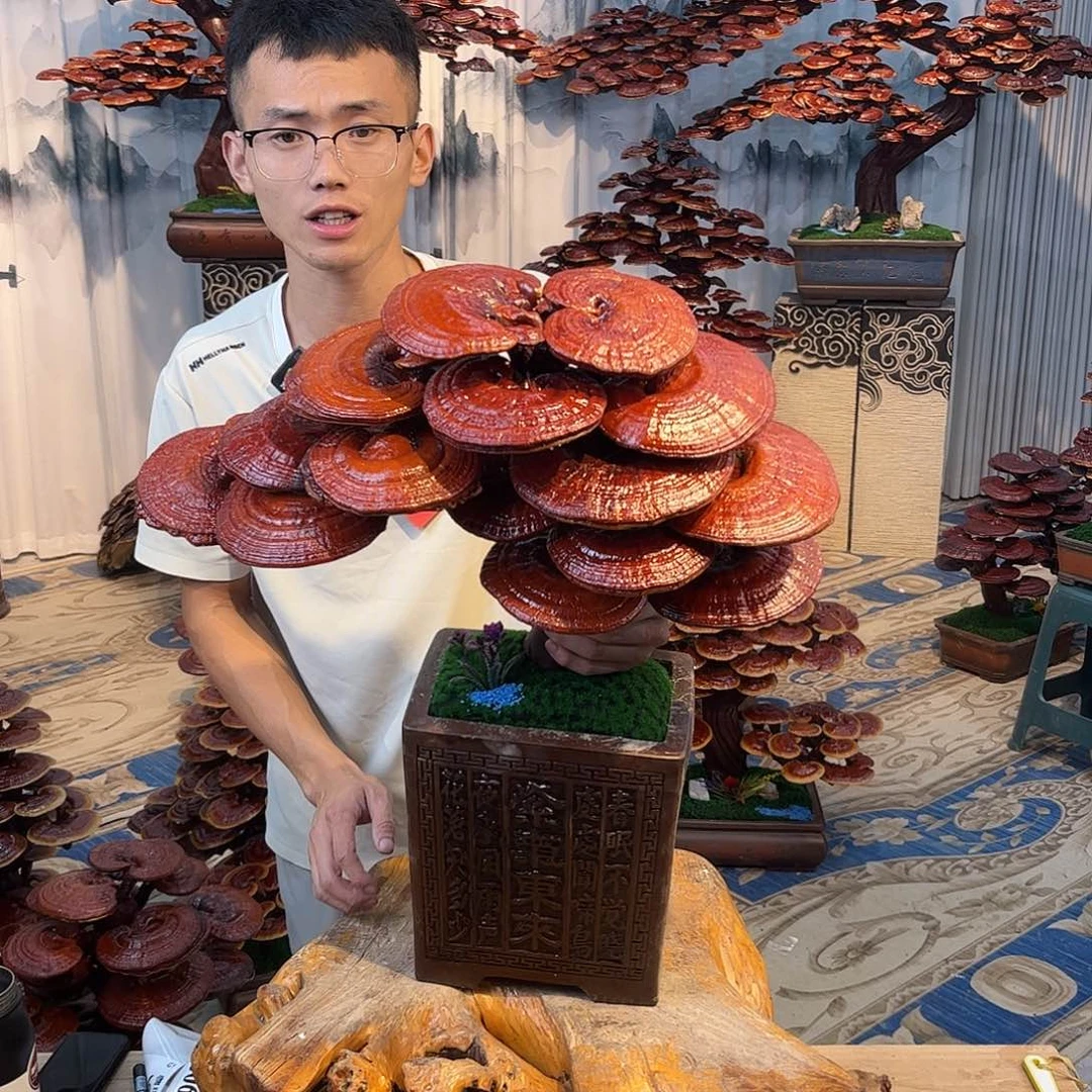 无花朵88888888888